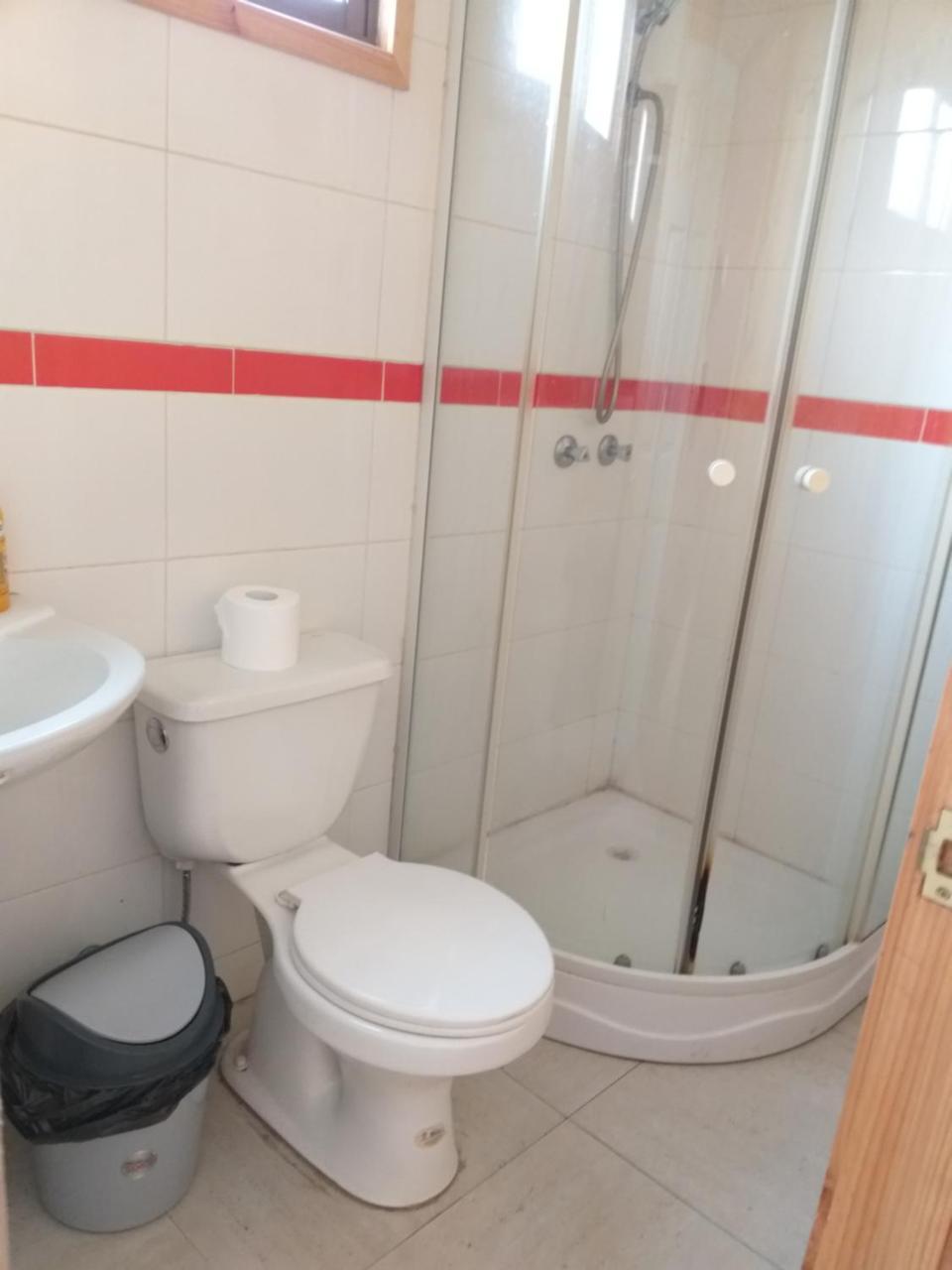 Cabanas Sur Del Mundo Apartment Coyhaique Ngoại thất bức ảnh